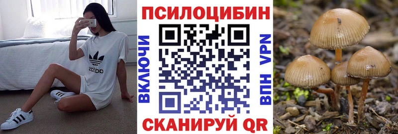 Галлюциногенные грибы ЛСД  Спасск-Дальний 